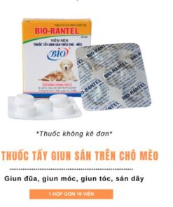 Thuốc tẩy giun sán trên chó mèo nhỏ Bio Rantel hộp 10 viên