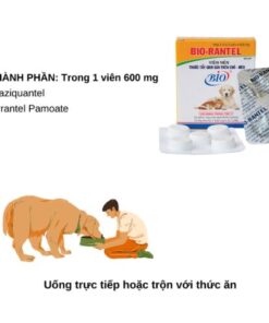 Thuốc tẩy giun sán trên chó mèo nhỏ Bio Rantel hộp 10 viên