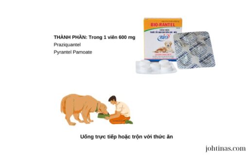 Thuốc tẩy giun sán trên chó mèo nhỏ Bio Rantel hộp 10 viên