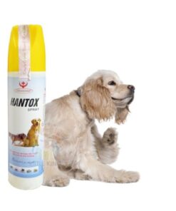 Chai Xịt Ve Rận Hantox 300ml Cho Chó Mèo