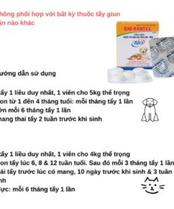 Sử dụng thuốc tẩy giun sán Bio Rantel đúng cách rất quan trọng để đạt hiệu quả tối ưu